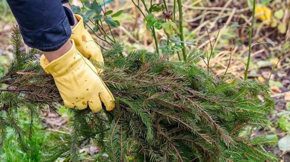 ��� ����������� �������� � ����: ������������ ������ ��� ���������