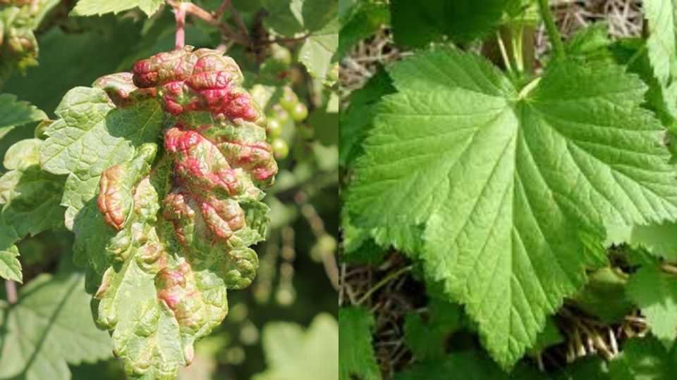 ��� �������� ������ ������ ������ ��������� �� ���