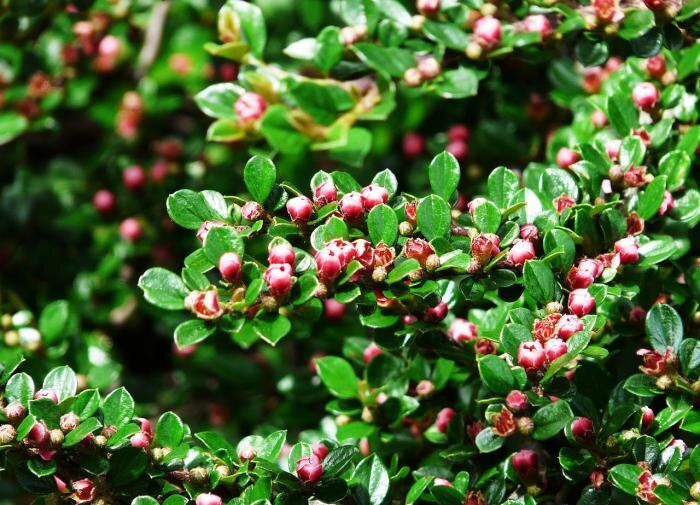 ��� ��������� �� �����������: ������� ��������� �����