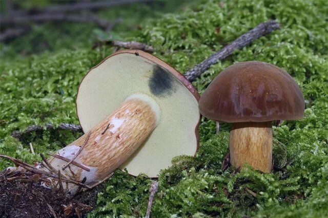 �������� ����: ��� ��� ���������� � �� ������� �� ������