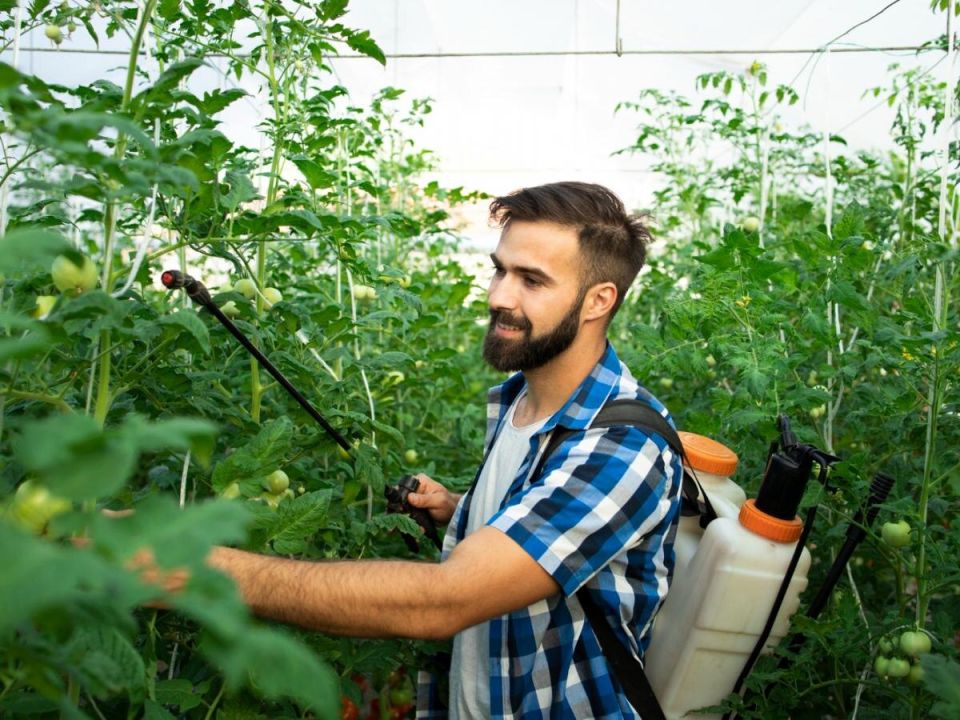 ��� �� �������� ���� ���: ������� ������� ���������