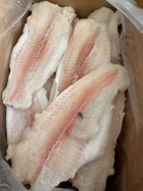 ���� ����������: ���� � �������� ��������