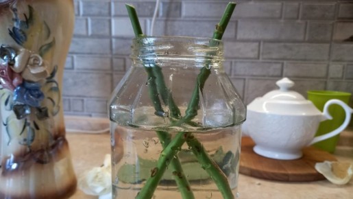 ��� ������� ���������� ���� ����: ������� ���������� ��� �����