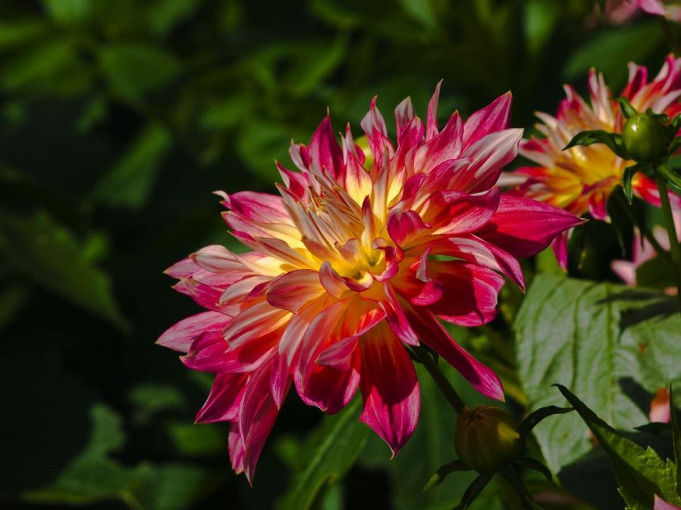 ��� ������ �������� �� ������ ������� � �������������� �� ��������