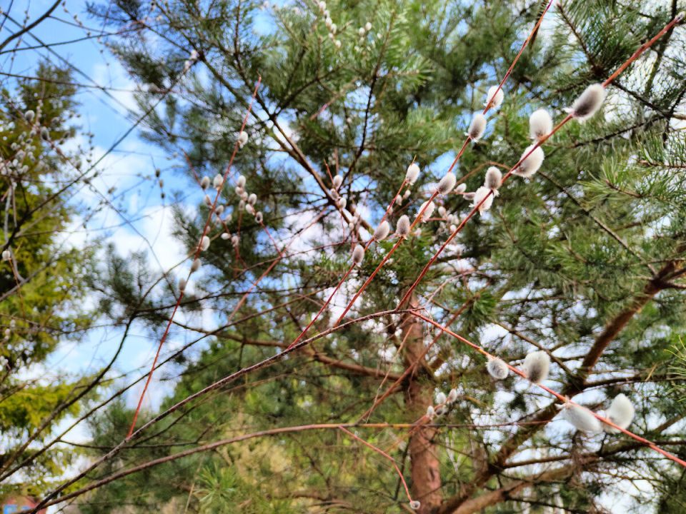 Суббота и воскресенье: идеи для выходного меню и уютного отдыха