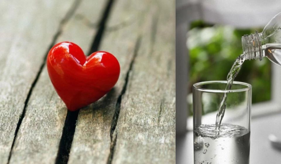 ���� � �������: ������� ������ ���������� ������ ������ ����