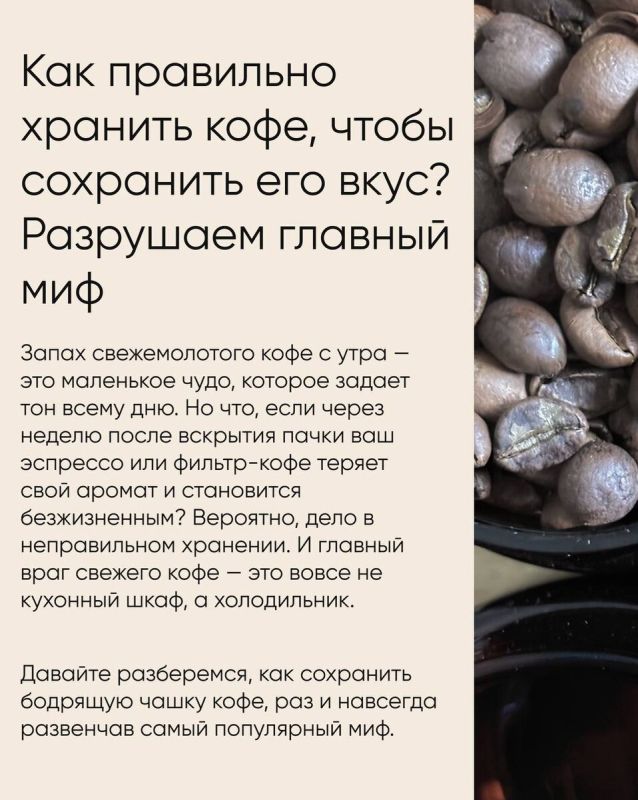 Кофе и холодильник: мифы о хранении напитка, которые стоит развеять