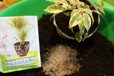 ���������: ��������, ������������ � ����������, ���������� � �����������