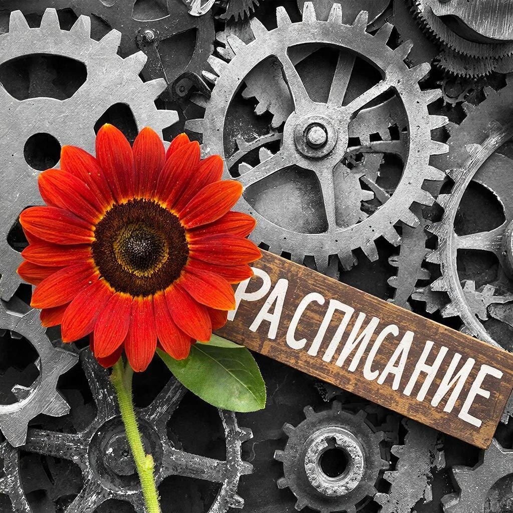 Как перестать откладывать свои мечты на пенсию и начать действовать прямо сейчас