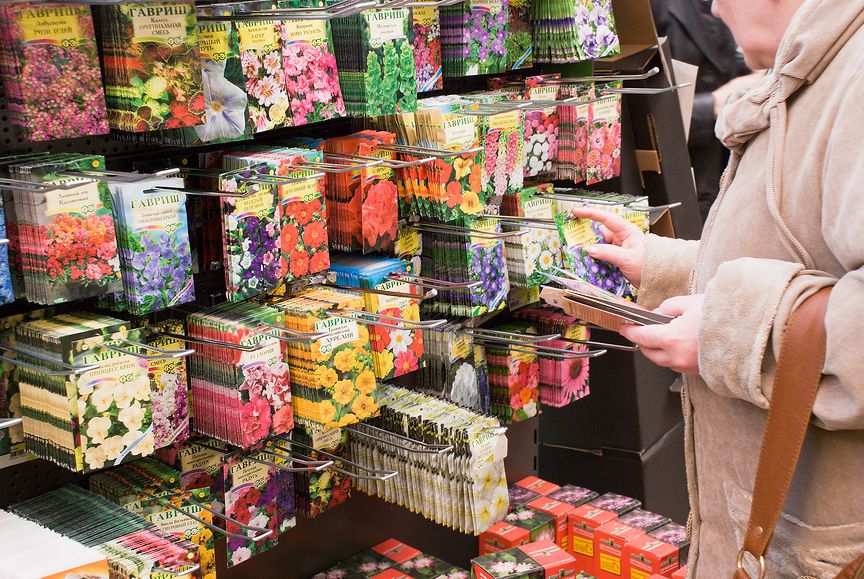 Топ-вопросы о семенах: что важно знать перед посадкой