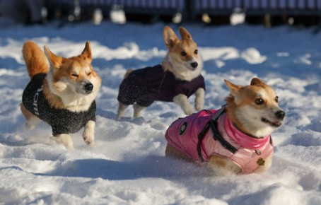 ����� ���������� ��� ���: �������� �� ����������� �������� ����� ������� ��� ������ ������