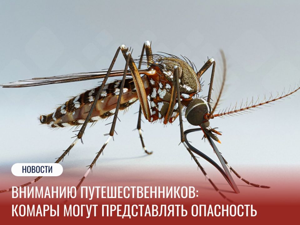 Роспотребнадзор информирует туристов об инфекциях, передающихся через комариные укусы