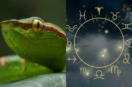 ��� ���������� ����: ����� ����� ��� ���� ������ �������