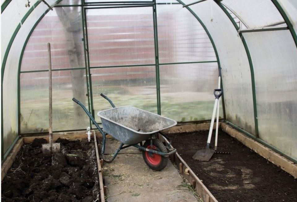 Эффективная обработка теплицы от фитофторы: пять надежных способов