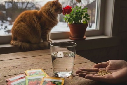 ��� �������� �������� �������� �������� ��������� �����