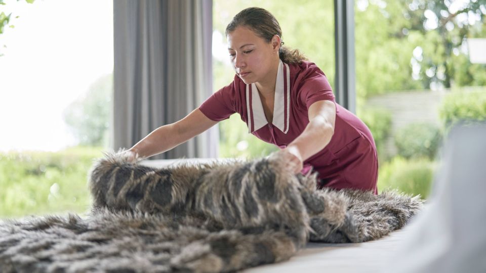 Так вытирают пыль хитрые горничные: вместо «химии» нужен дешевый продукт