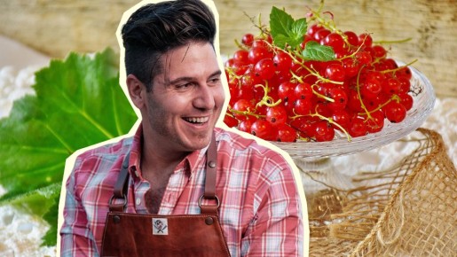 ������ ������� ��������� �� ��������: ��� ��� ������ � ������ ���-������