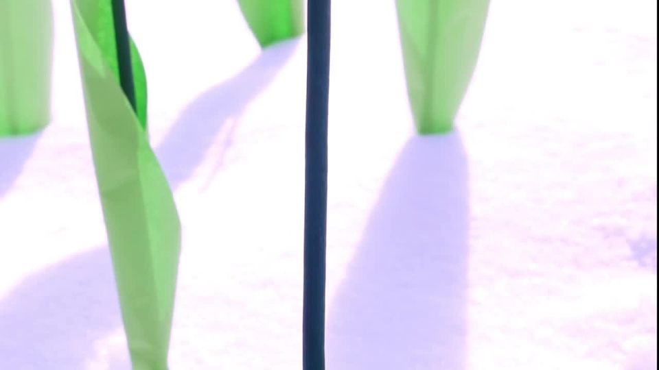 Каждый год 15 февраля у мемориала Черный тюльпан расцветает клумба цветов