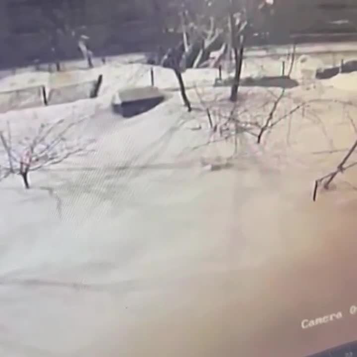 ��������� ���� � ����� �� � ��������� ����������