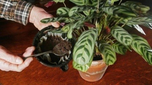 ��������� ������� ���������� ���� �������� � �����