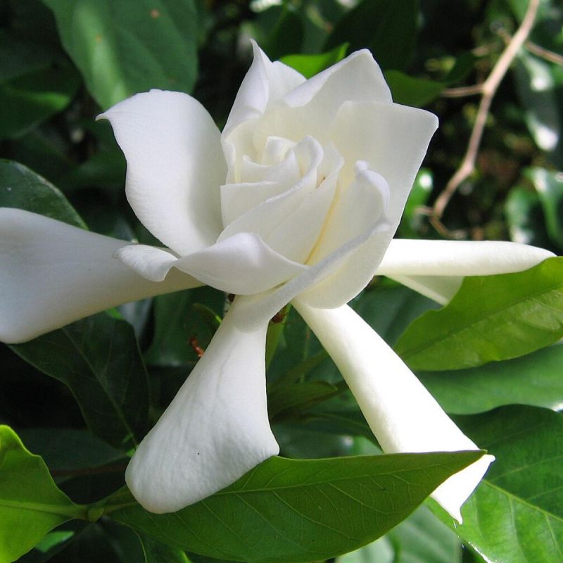 ��������, ������� ������� ��� �� ��������� ����� ��� ������ ������