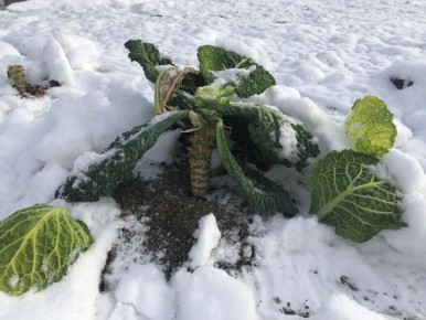 ������ ����� �������� ������������ ������� �� ������� �����