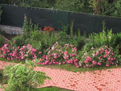 ��� ��������� ���� �����: ������� ��������� �������