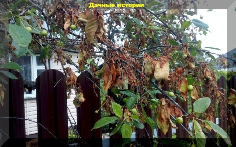 ��� �������� ����� �� ��������� � �������� ����: �������� ������ ��� ���������