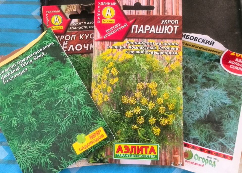 ������ ����������: ��� ��������� ����� � �������� ��������