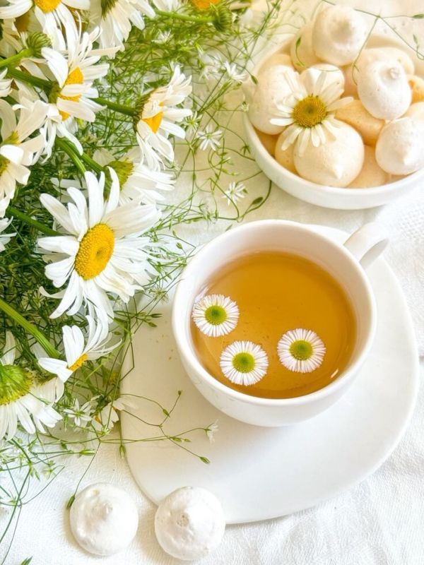 ��� ���� ��� ������ ������������: ������ ��� ��� ������ ��������