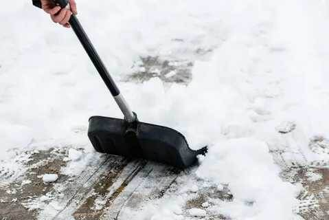 Снеговые будни: как выжить в метель и не остаться без дороги?