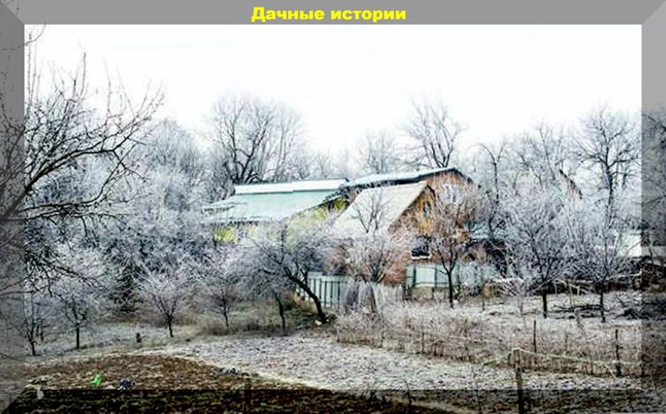 ������� ������ �� ����: ������ �� ����� ���������� ������� ���������� ��������