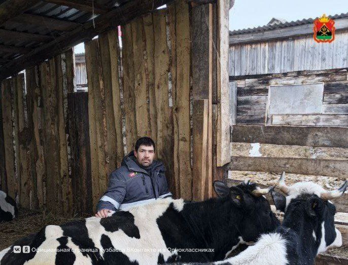 Более 400 млн рублей поддержки получили аграрии Кузбасса на развитие хозяйств