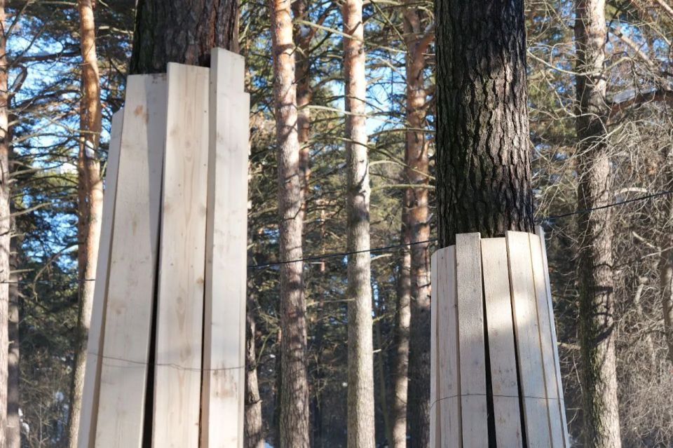 В Кемерове приступили к подготовительным работам по разбору аварийного здания СШОР № 3