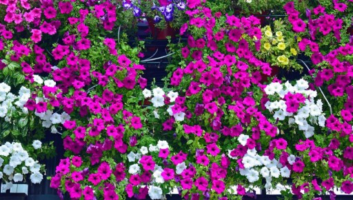 �����, ������� ����� ������� �������: ����� �������� ������