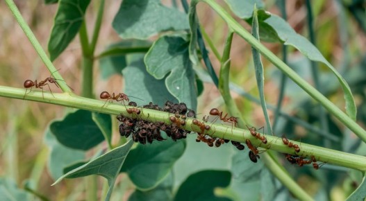 ����������� ������� ������ � ���� �� ������� ��� ���������