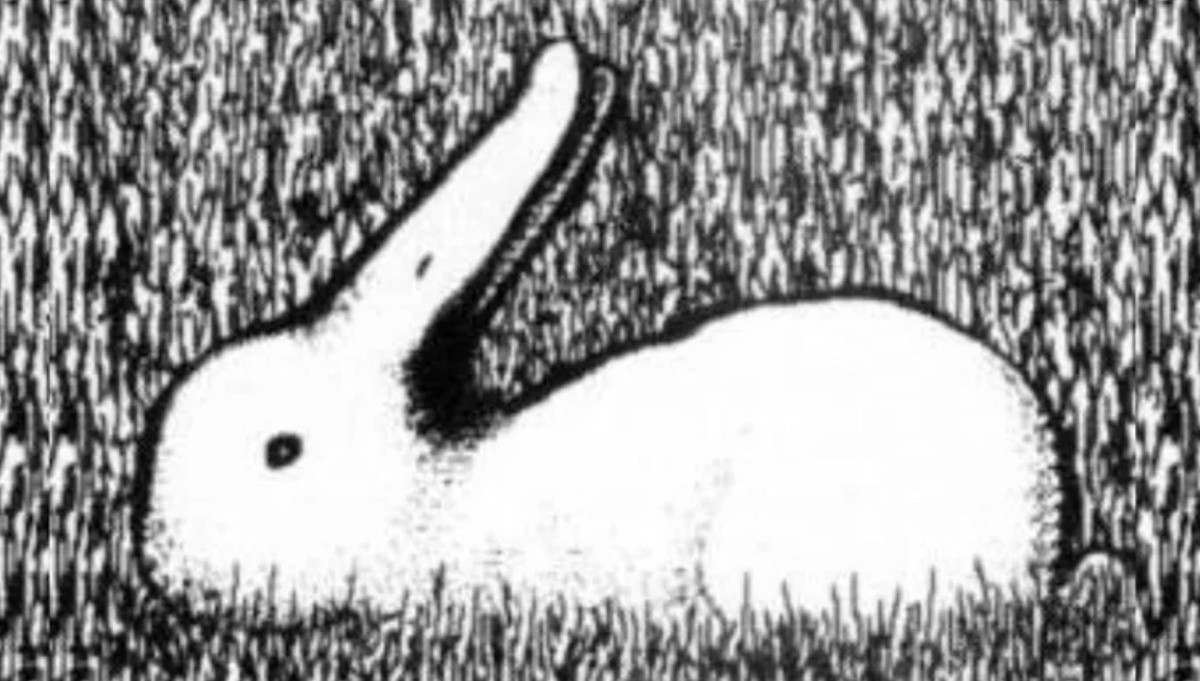 Неожиданный взгляд на вашу личность: Что говорят оптические иллюзии