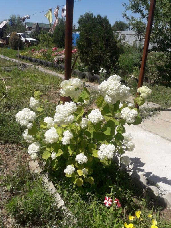 ���������� ��������� � ����: ������� ������� �������� �� ��������� ���