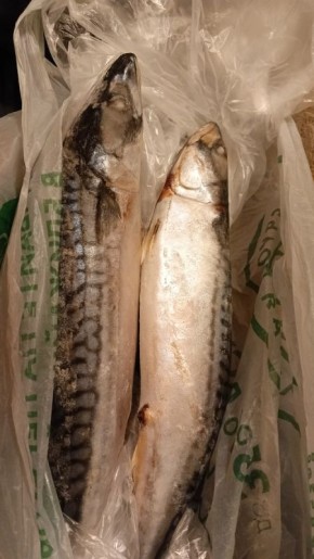 �������� � ���: ��� ���� ������� ������� ����������