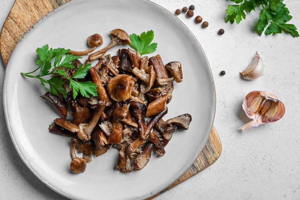 ������������� �������: ������ ������� ���� � ���� ��� ���������