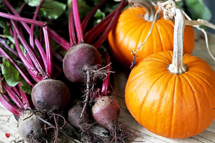 ������� ������� �����: ��� �����, ������ � �������� ��������� ��� ������