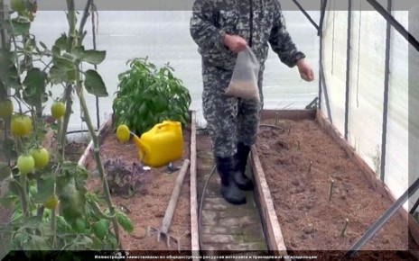 ��� ������������ ������� ����� ����������� �������: ������ �� ������� ����� � ������