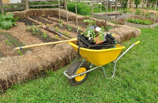 ��� ������� ������ ���� ������ � ��������: ���� ������� �������