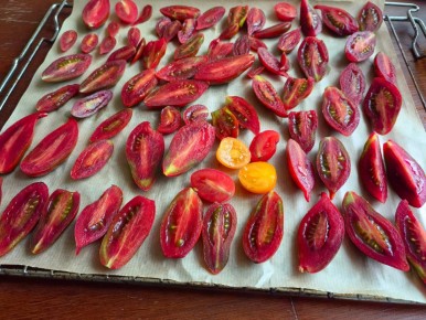 ��� ������� ������ ��������� ������������: ������� � ������