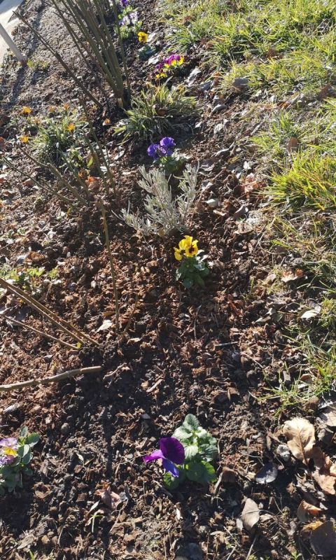 ��� ��������� ������� ������: ������� ������� ��������