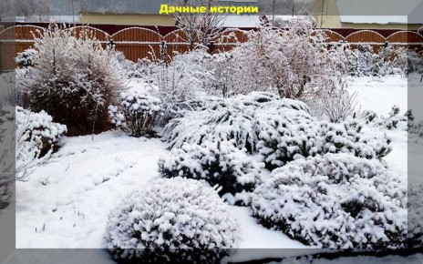 Как подготовить дачу к зиме: советы для начинающих дачников