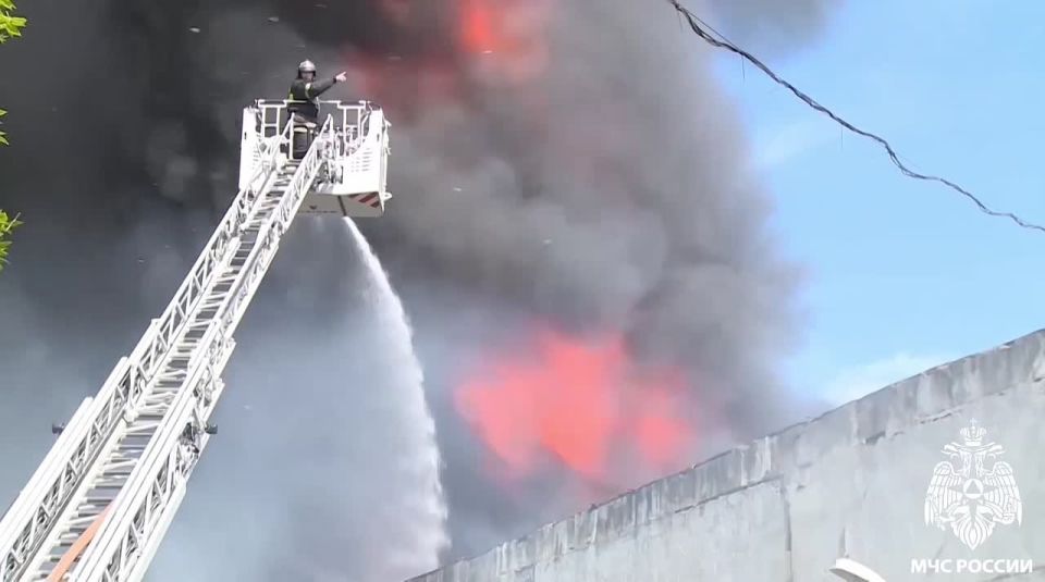 МЧС России поздравляет. С Днём защитника Отечества!