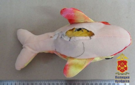 В Киселевске подозреваемая в наркоторговле прятала дозы «синтетики» в детской игрушке