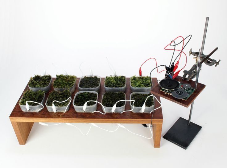 ������� �� �������: ��� �������� ���������� ���������� �������������