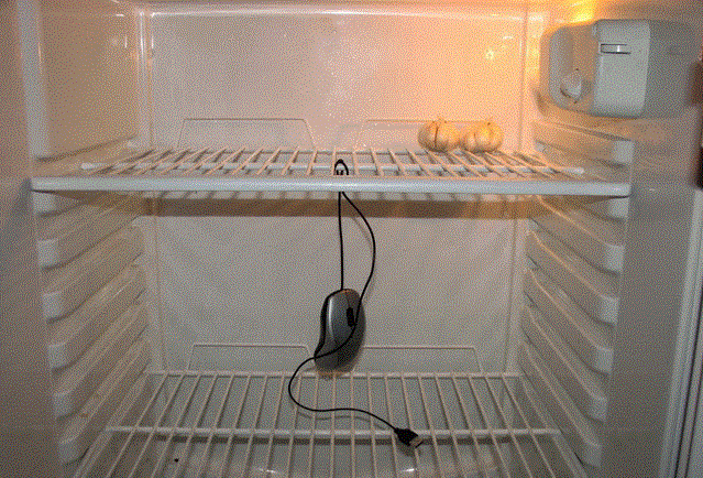 Как сохранить холодильник в идеальном состоянии летом